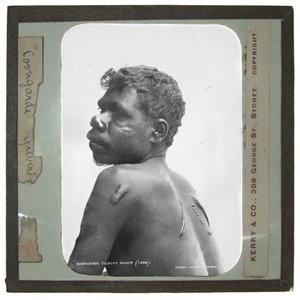 Coongardie, Gilbert River (lamparina de vidro) de Kerry and Co.